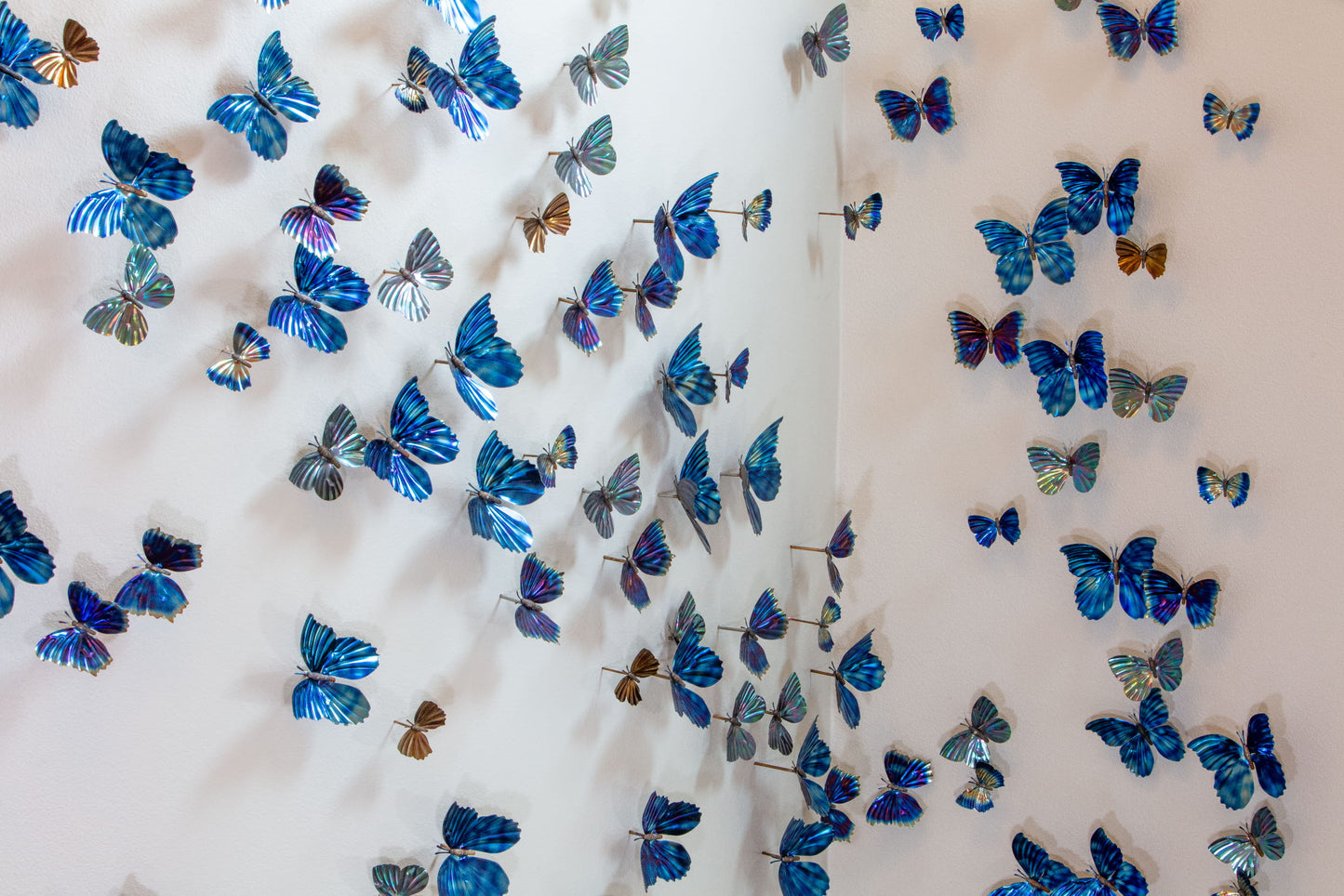 Man butterfly sculptures hung on a wall to look like a swarm of butterflies flying.