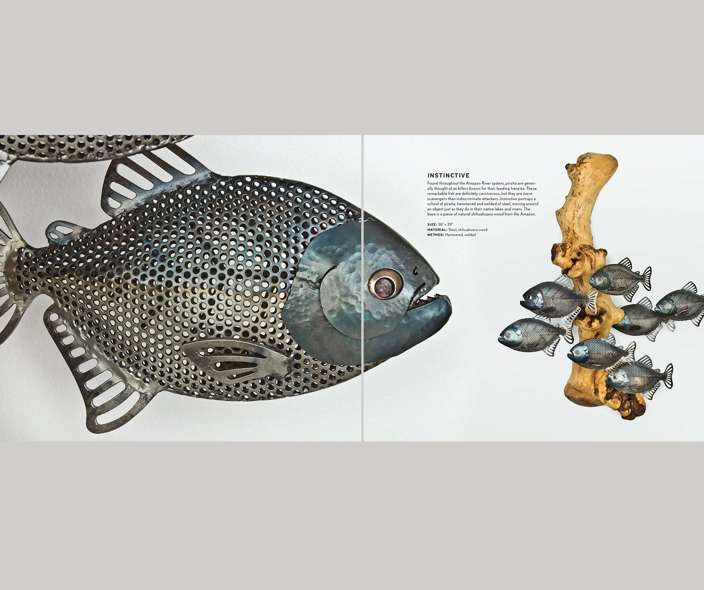 A sample page of 'A Natural Eye The Sculptural Works of Casey Parlette' featuring close-up, high quality images of a piranha sculpture made of metal and driftwood.