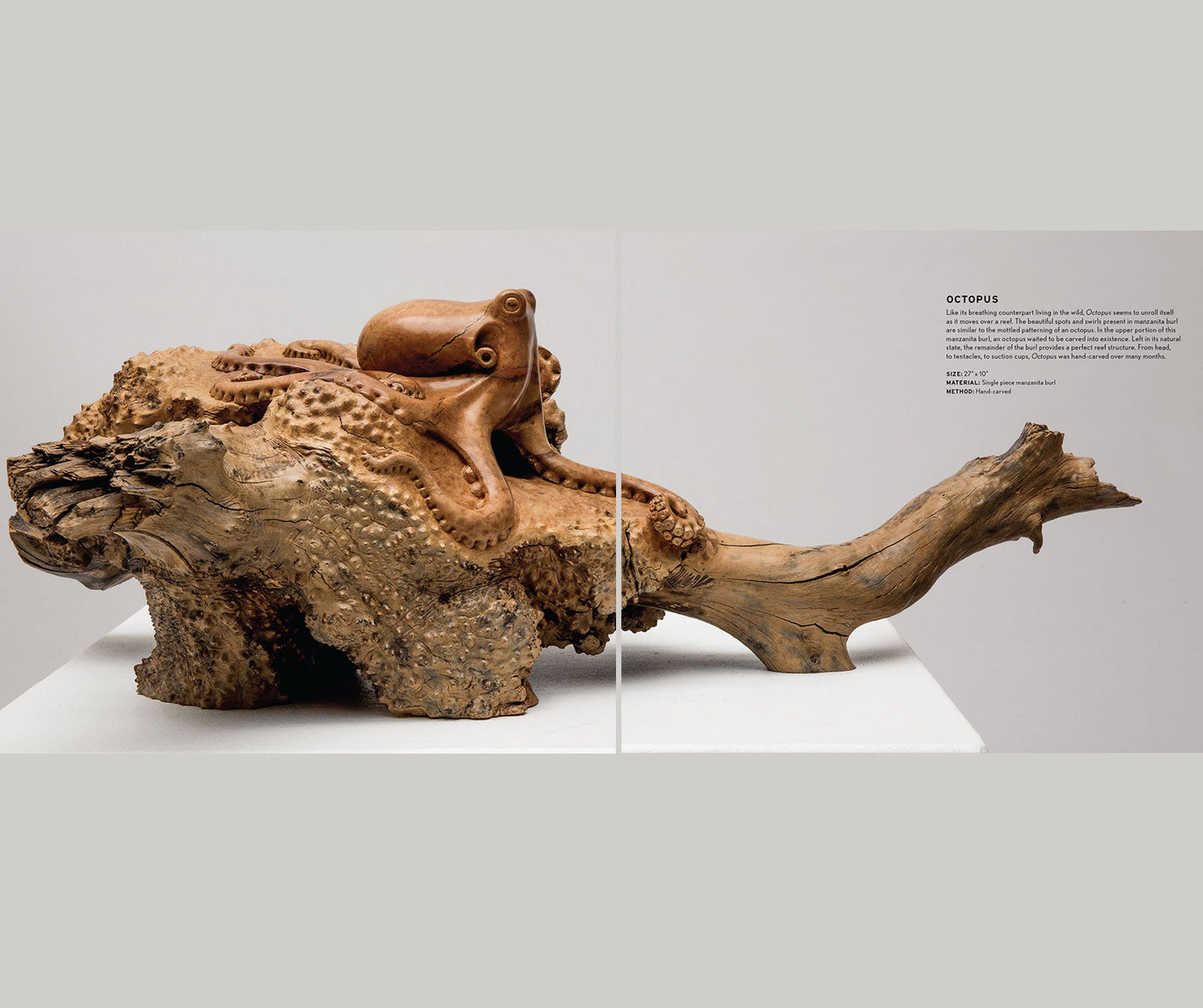 A sample page of 'A Natural Eye The Sculptural Works of Casey Parlette' featuring close-up, high quality images of an octopush sculpture carved into driftwood.