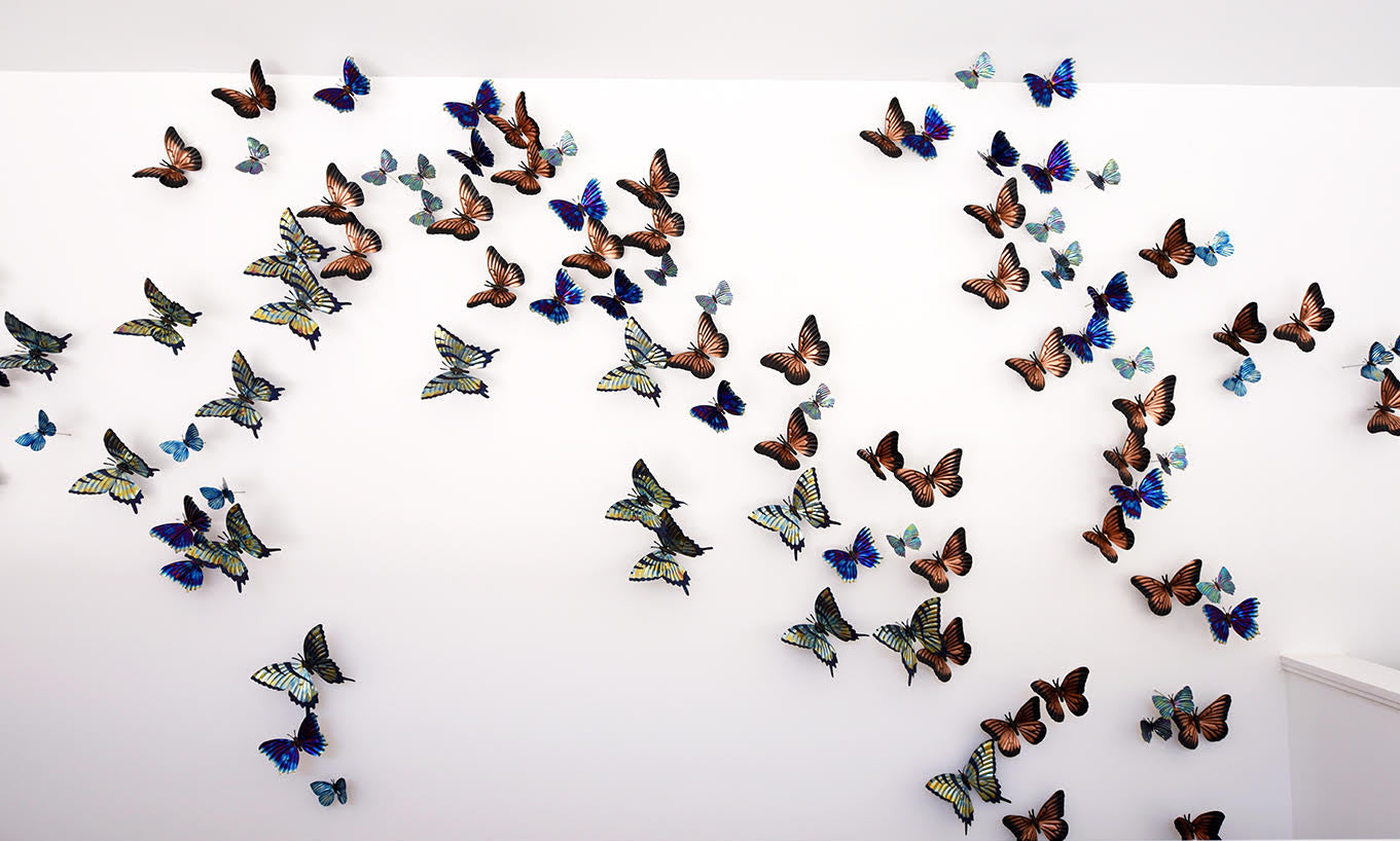 Wall with colorful butterfly decorations arranged to look like they're flying up the wall.