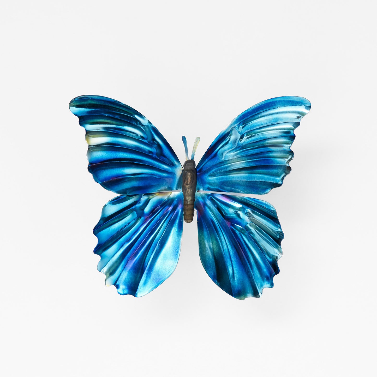Front view of the blue morpho butterfly with bright blue titanium wings and antennae.