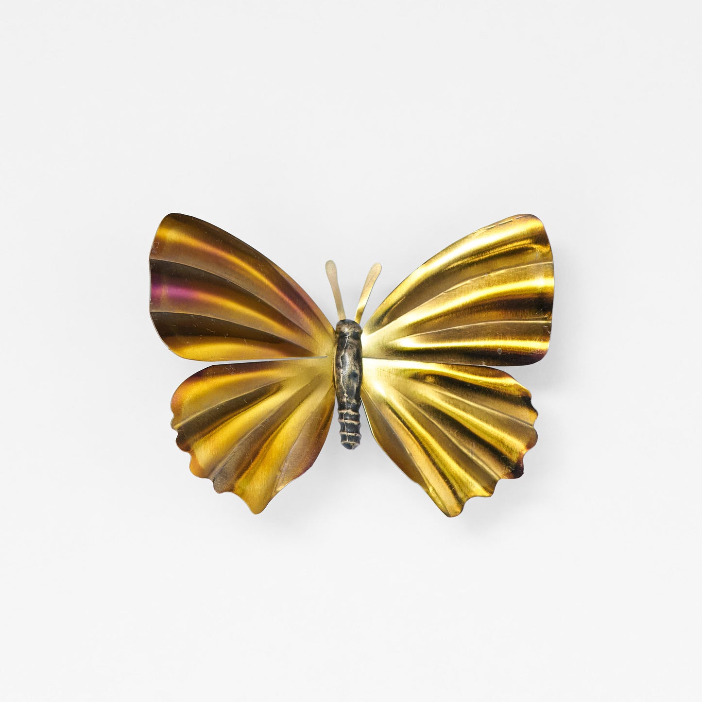 Front view of a small butterfly with vibrant gold wings and antennae.