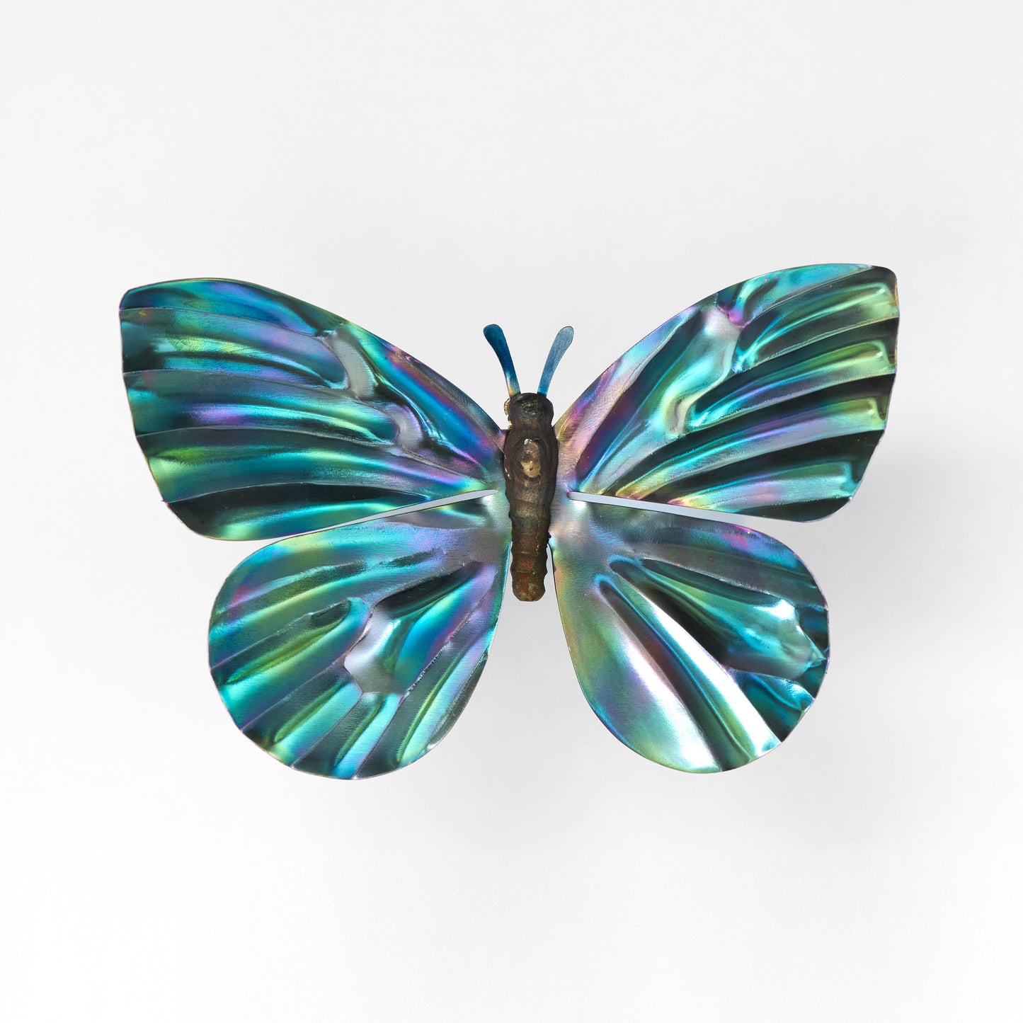 Front view of metallic butterfly with iridescent teal, blue, purple, and gold wings and antennae.